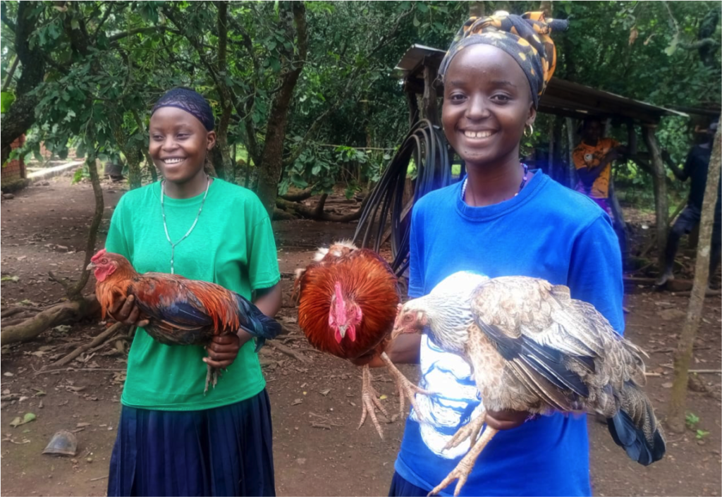 Pass a chicken project in Kigoma