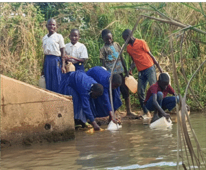 Collecting water in Kigoma