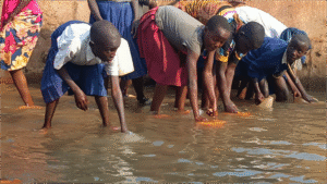 Collecting water, Kigoma
