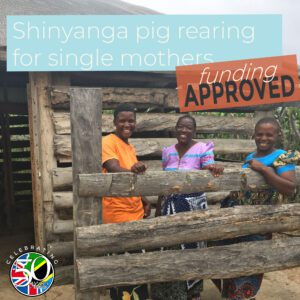 Shinyanga Pigs Funding Update