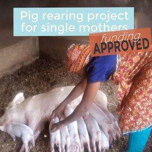 Pig Rearing Project for Single Mothers